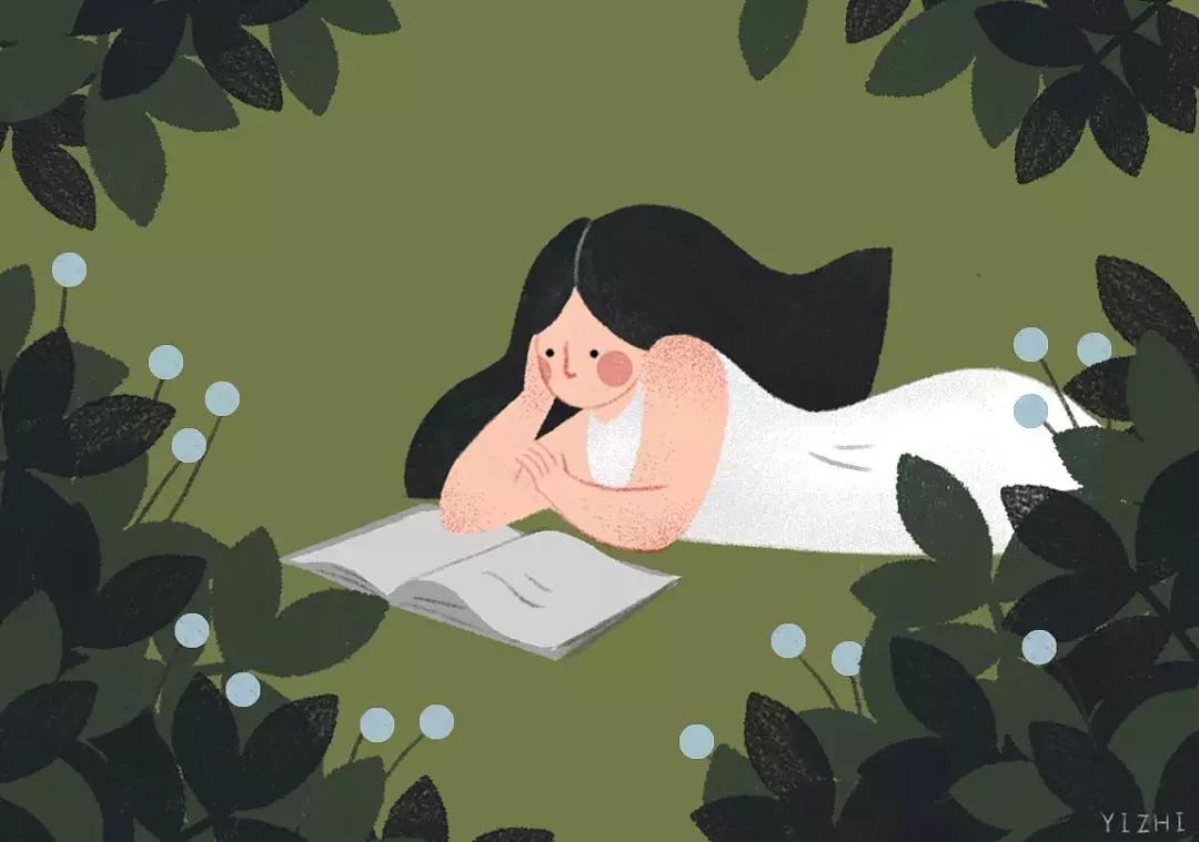 军嫂是什么种类,军嫂都是什么人啊