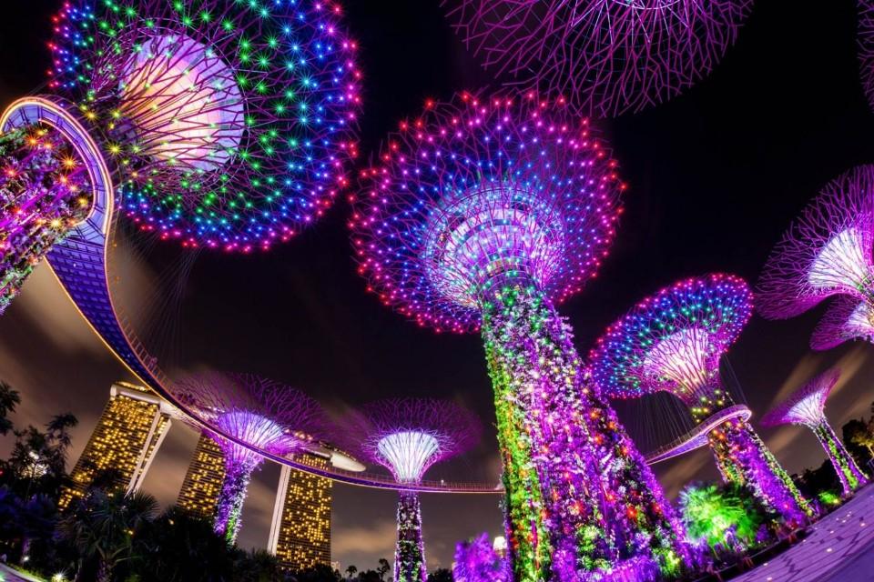 新加坡旅游全攻略,新加坡旅游攻略2000字