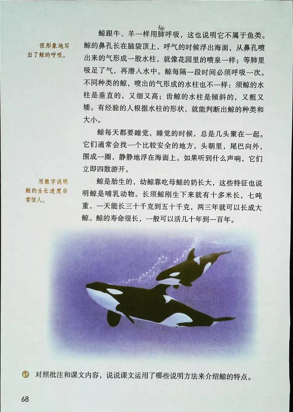 2021年版五年级下册语文电子课本,五年级下册语文长江电子课本2022