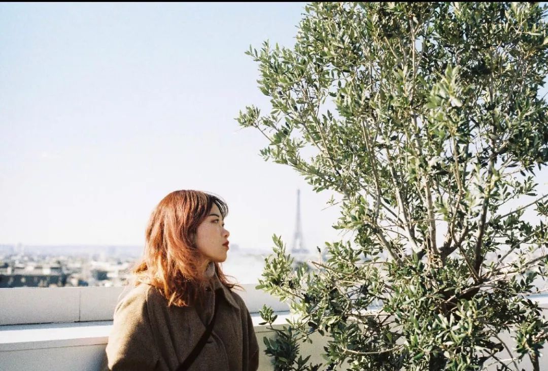 旅行thetravel1973,旅行traveltrip