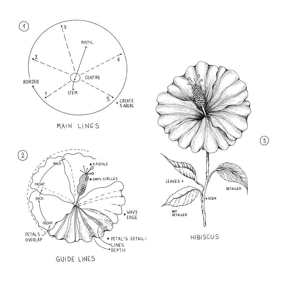 一看就懂的针管简笔画,针管笔入门手绘1000例临摹图