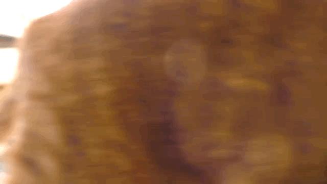 猫和主子玩装死游戏,在猫面前装死猫的反应