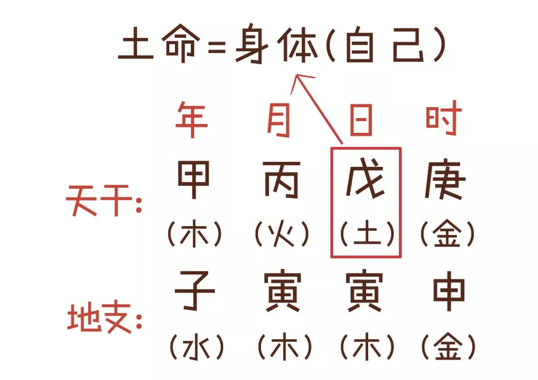 三分钟教你学算命,三分钟学会简单的算命知识