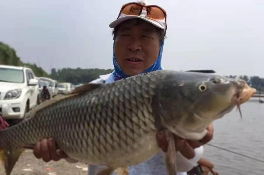 野钓鲤鱼打窝技巧及注意事项,钓鲤鱼要用什么假饵最快上钩