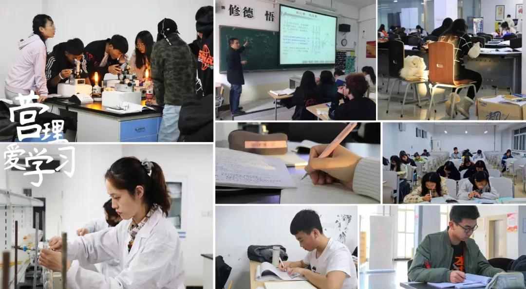 营口理工学院咋样,辽宁省公办高校营口理工学院