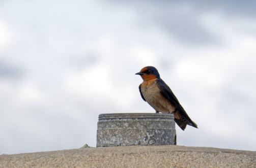 时间的表达法用英语怎么表达,时间分秒用数字怎么表示