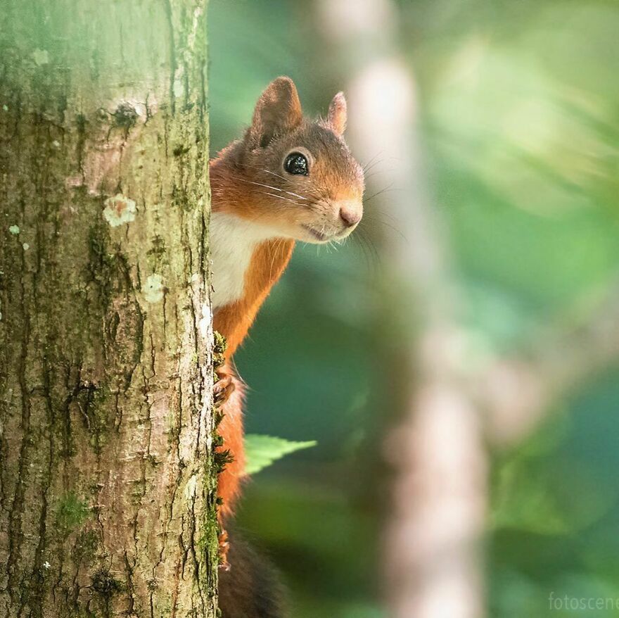 他花了29年拍摄到了美丽瞬间,他花8年拍下深海珍稀生物