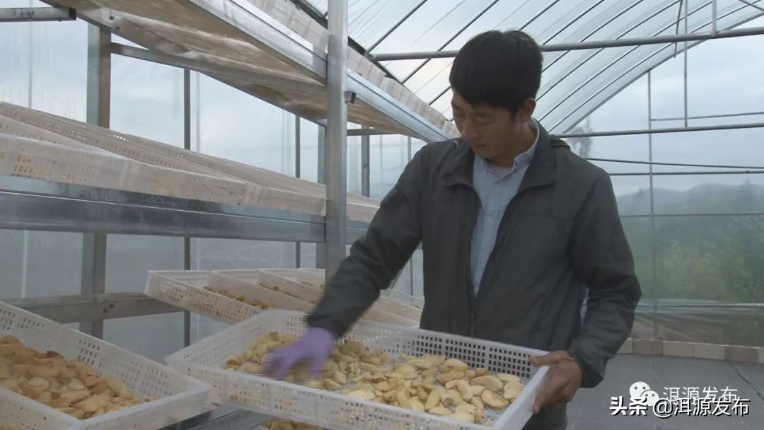 农特产品电商市场情况,农特产品电商运营