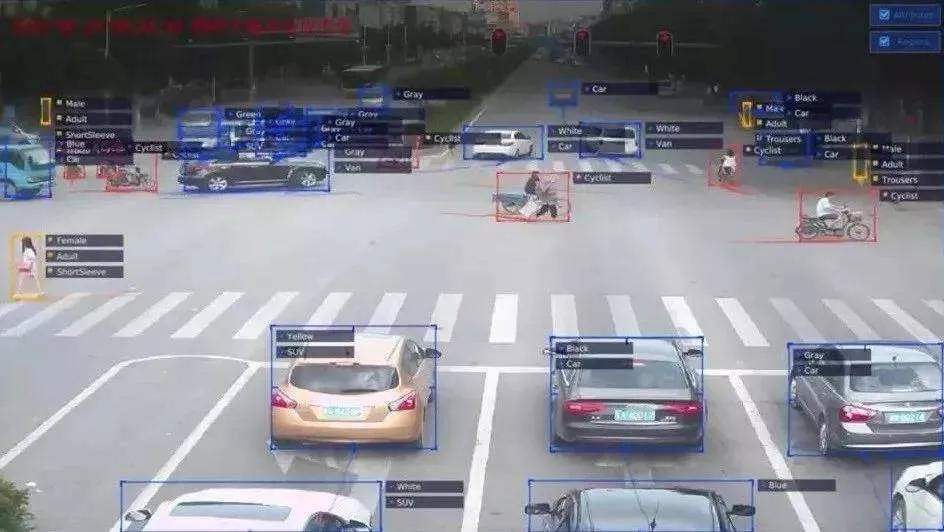 鑻忎慨闂磋皪钀界綉,鑻忎慨闂磋皪