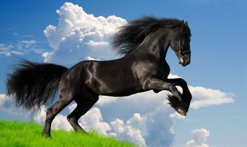 大运和流年看年运,如何看自己大运流年的运势