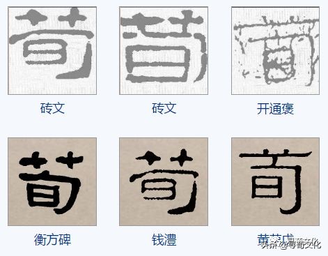 荀姓4个名字,荀姓氏世家一览表