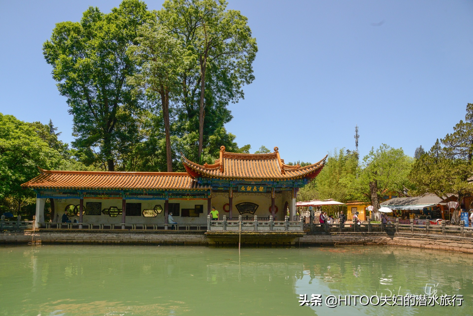 先有黑水祠，再有昆明城，来黑龙潭看奇景异木|自驾游记4