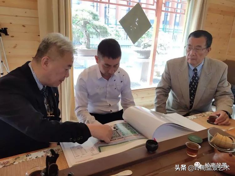 盆景产业的前景,我的盆景创业之路