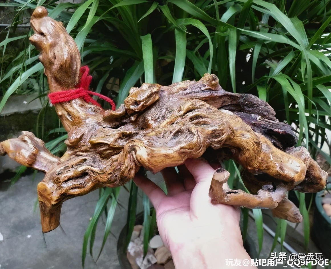 烂木头怎么样处理,烂木头有什么好方法处理