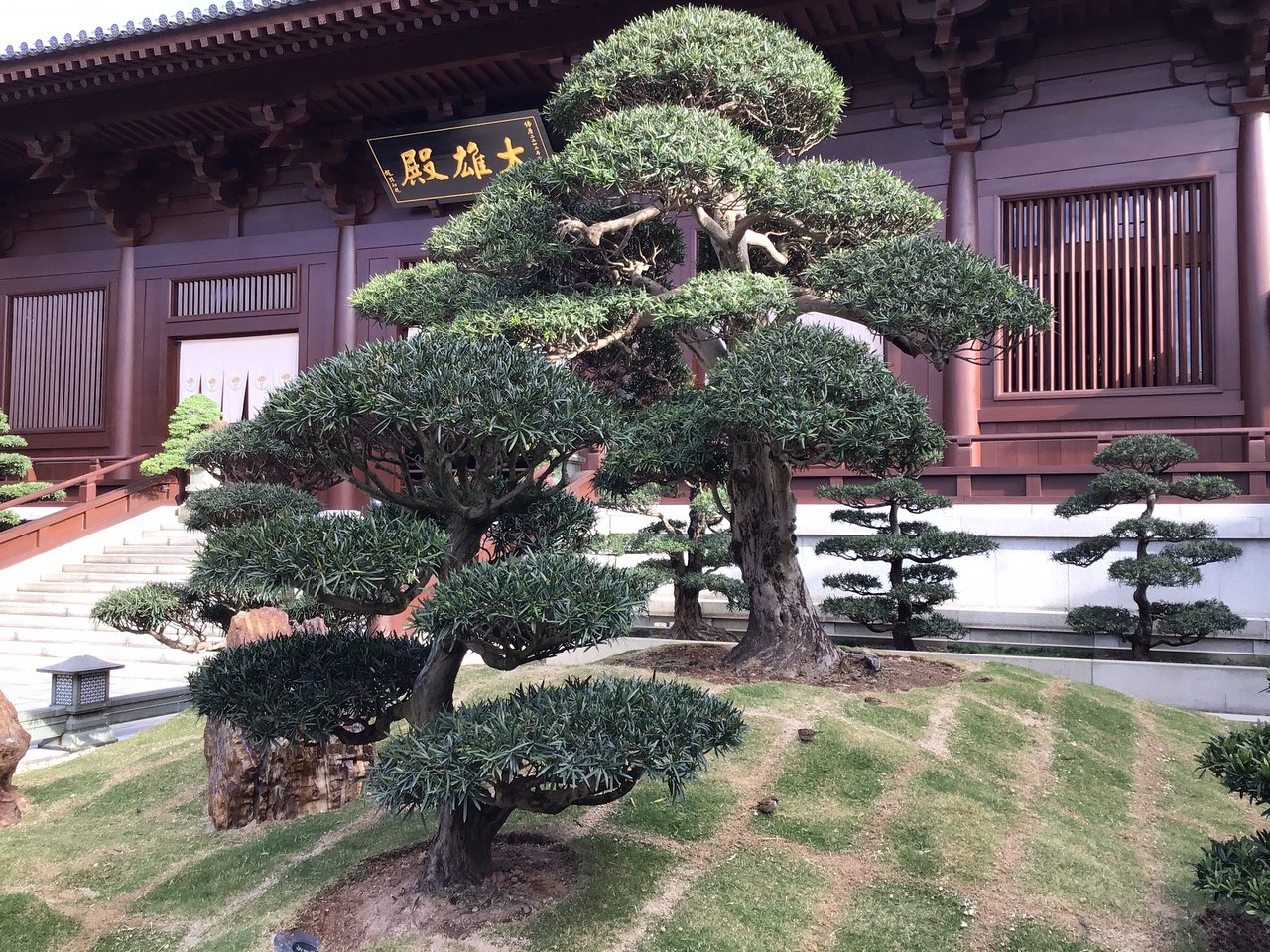 香港志莲净苑地图,香港志莲净苑好玩吗