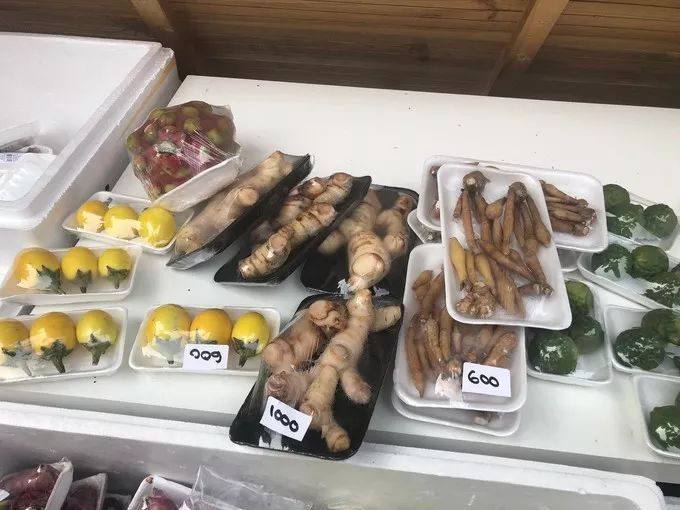 匈牙利文化节,匈牙利布达佩斯活动