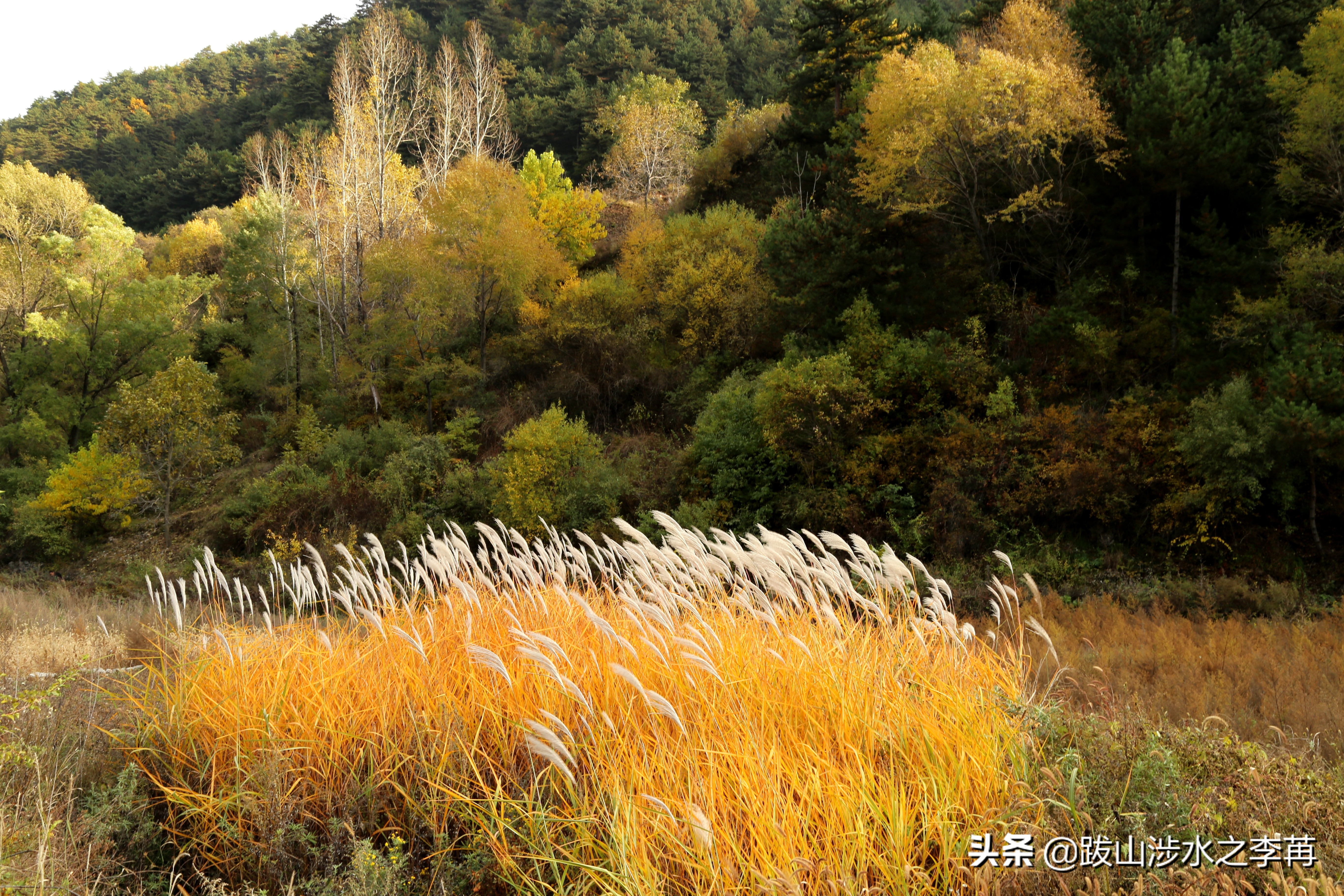 深藏在太行山中的古村落竹林沟,深山沟里的绝世古村