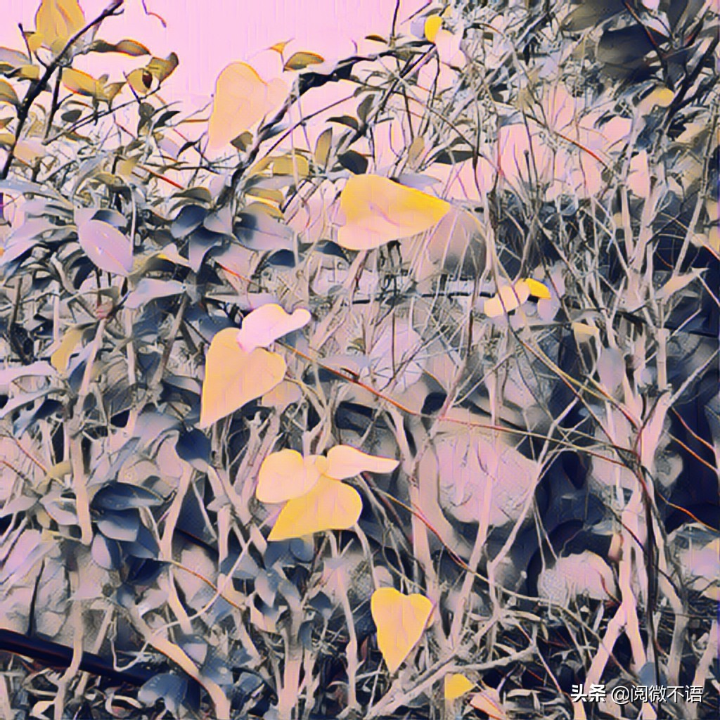 菩萨蛮冬晚遣怀,菩萨蛮冬思