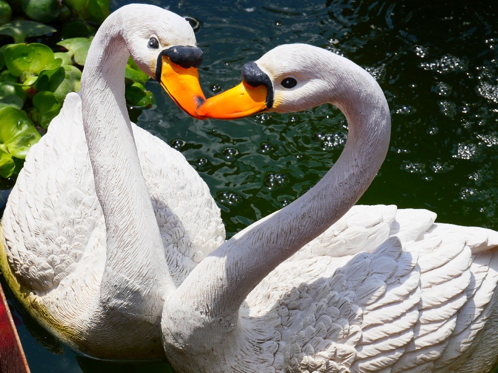 松下视频微单g95d值得买吗,松下微单g95操作教程