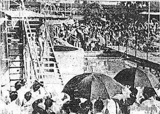 香港小姐19年,香港小姐兴衰史电影