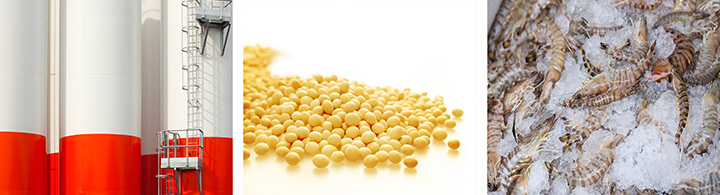 中国进口主要的商品,中国进口的商品都有哪些