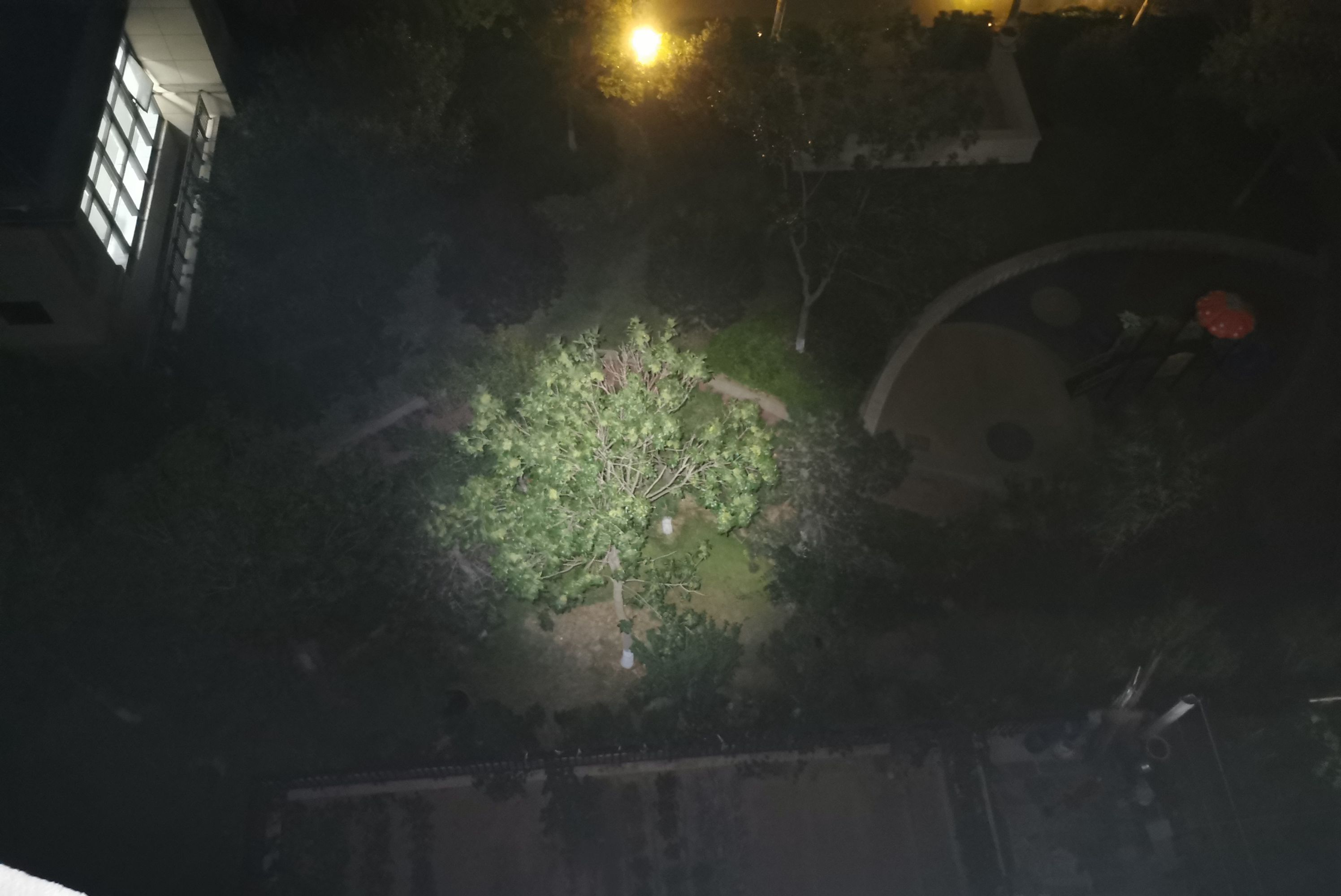 紫米手电筒和极蜂手电筒,小米新款多功能手电筒