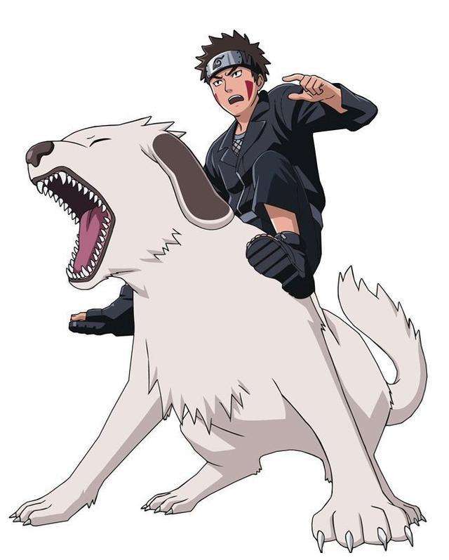 火影忍者中最浪费的设定——木叶十二忍