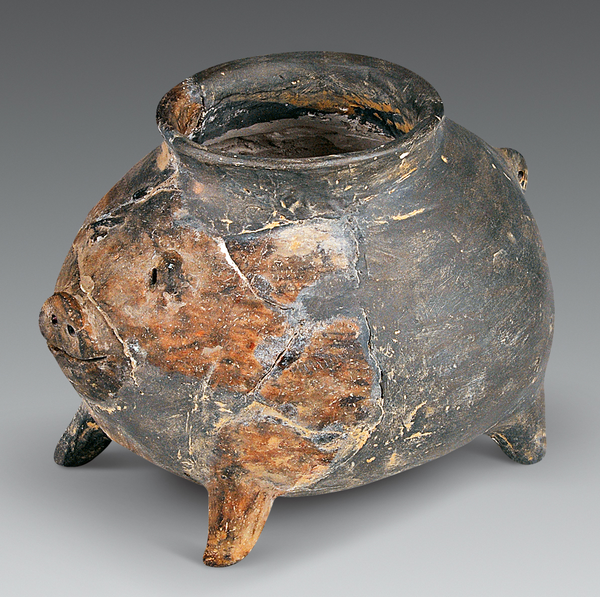 生肖猪的风俗及寓意,生肖猪的民俗与科学文化艺术