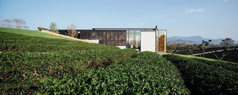 大山里的茶吧咖啡馆在哪里,隐藏在大山里的咖啡馆