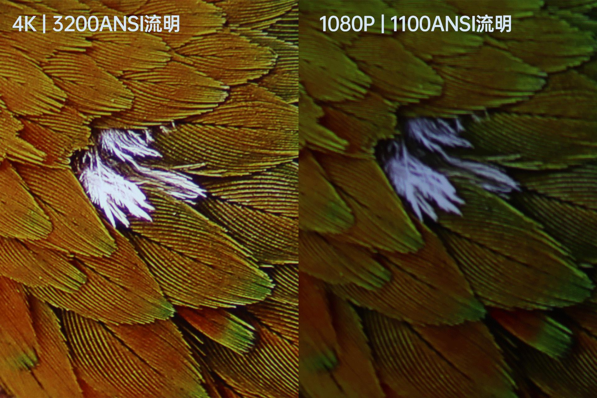 优派px701-4kpro投影距离,优派px701-4k和米家激光投影