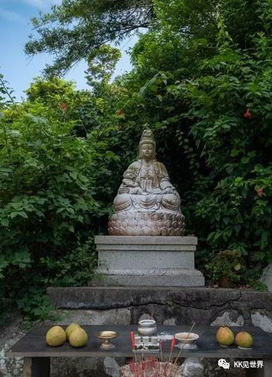 东澳岛环岛自驾一日游,东澳岛环岛一日游价格