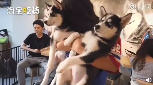 酸梅汤卖5块贵吗,酸梅汤奶茶店多少钱一杯