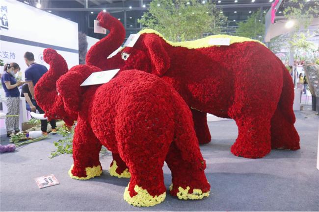 让人惊艳的花展,花展上看到的美到窒息