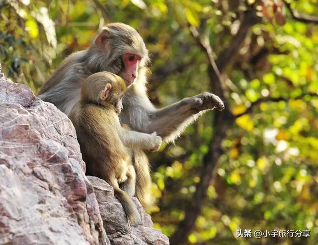 郑州免费旅游景点推荐一日游攻略,郑州冷门旅游景点推荐一下