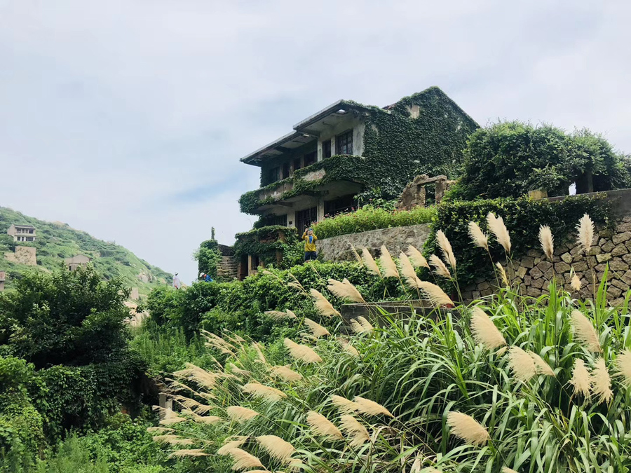 枸杞岛海岛旅游,美丽的枸杞岛之旅