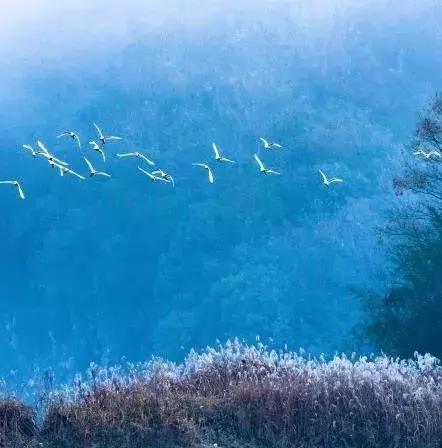 诗意人生不负青春的诗句,诗意深秋不负光阴不负卿