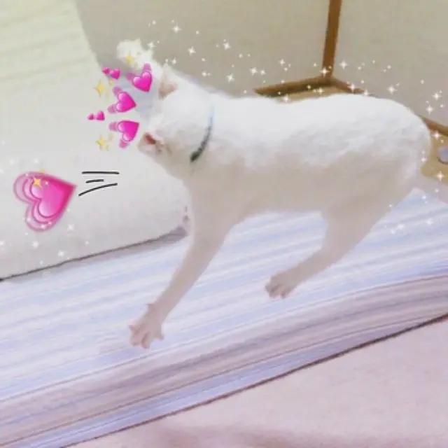 好看又搞怪的四人闺蜜头像,情侣头像搞怪可爱美少女