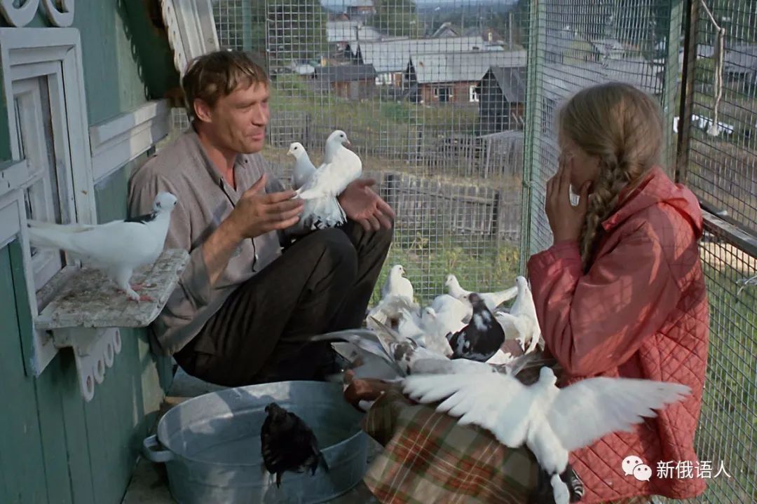 让你开心的电视剧,经典莫斯科喜剧电影