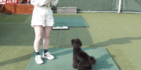 弄潮儿女装,弄潮儿时尚