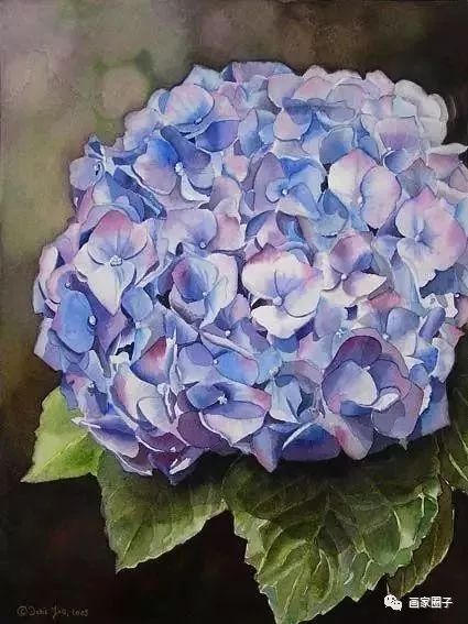 100种漂亮花卉图片,100张漂亮花图