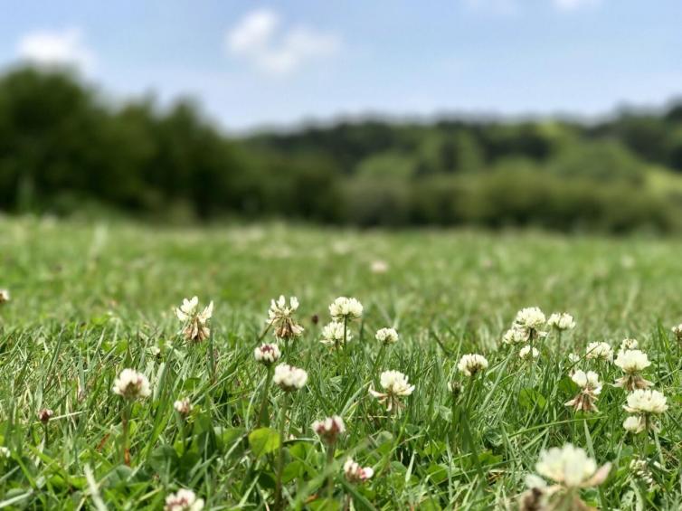 重庆十大景点自驾游攻略,重庆周边冬天自驾游的绝佳去处