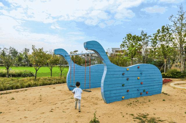 水月周庄铂尔曼酒店夜景,水月周庄铂尔曼酒店是几星级酒店