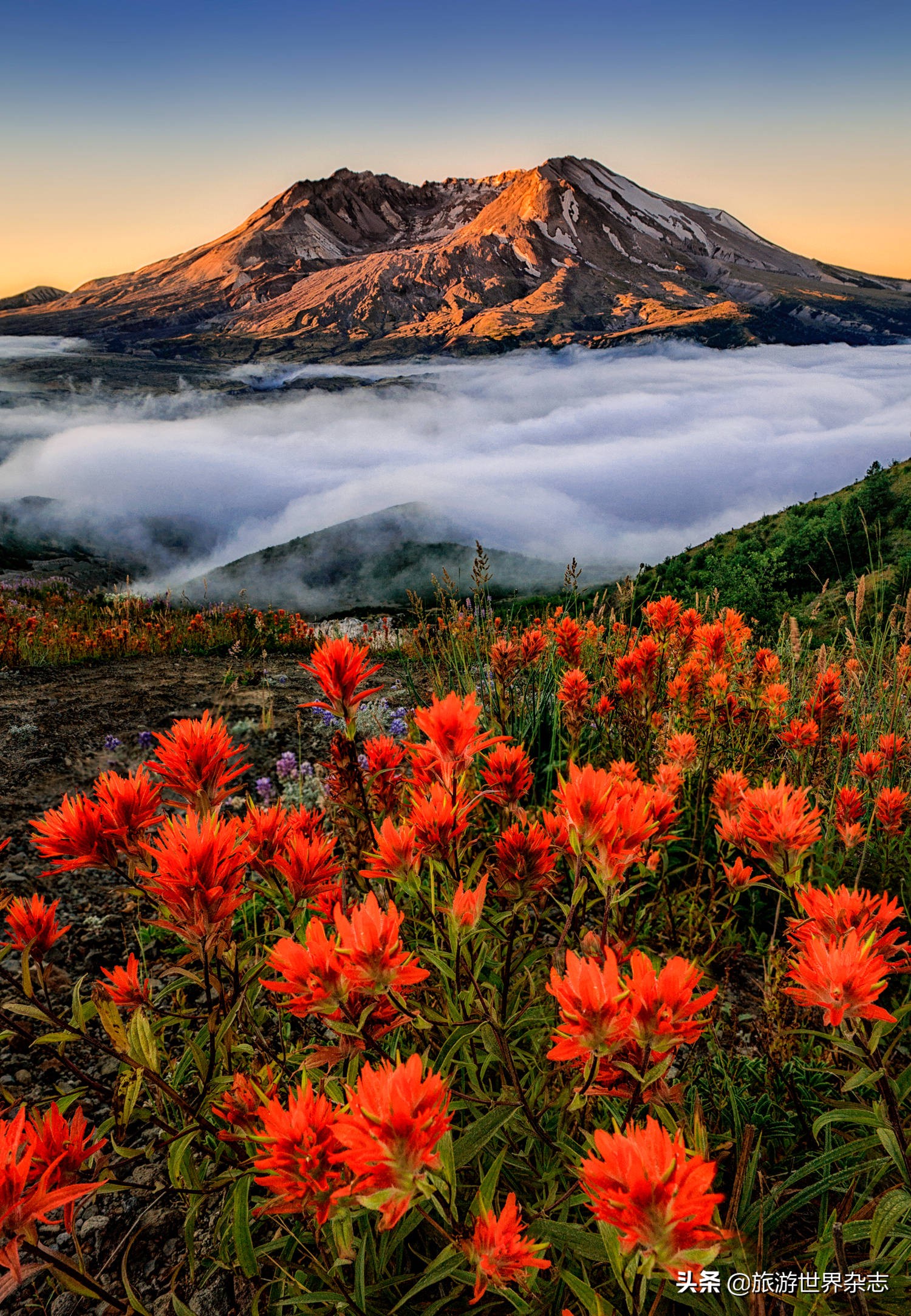 国际女摄影师LydiaJacobs镜头下的油画风格摄影