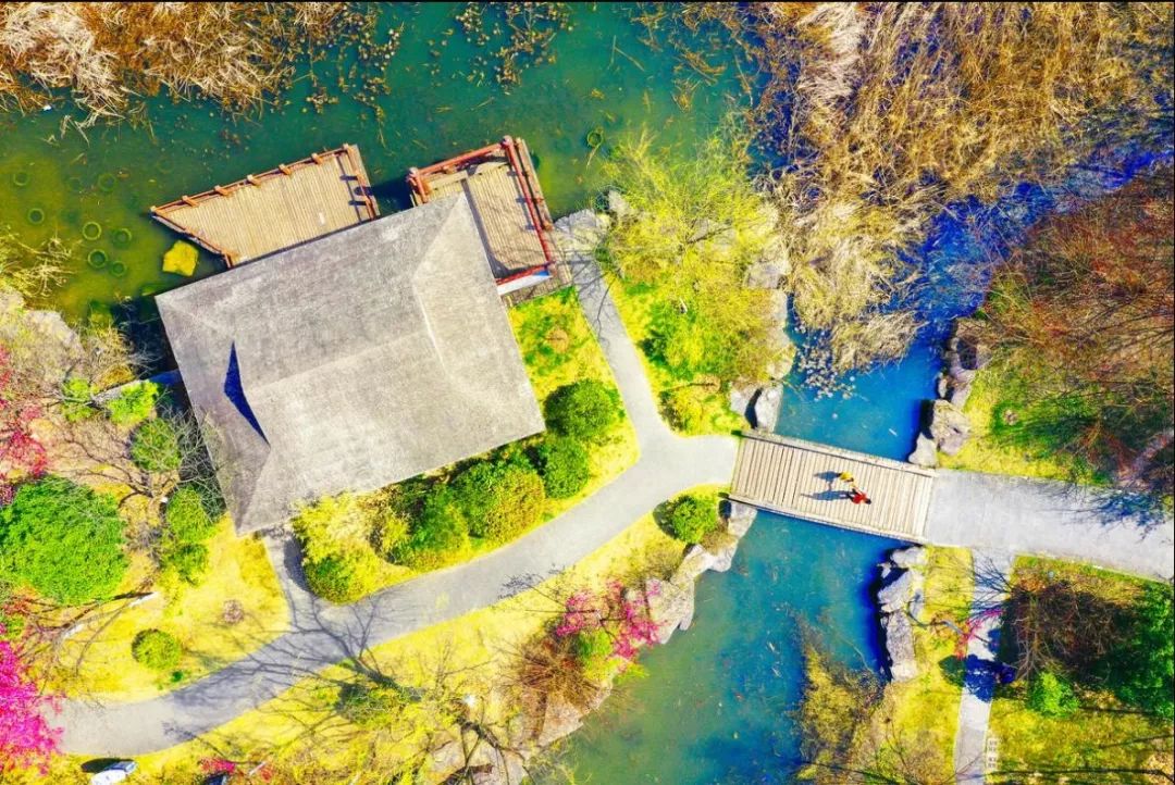 最漂亮的雨花台,雨花台风景太美了