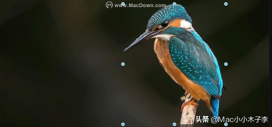 CaptoforMac,截屏、视频录制和编辑