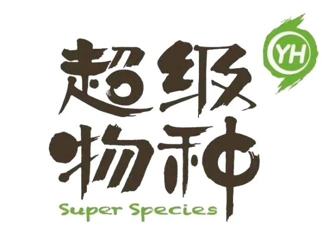 快时尚品牌存在的问题,快时尚衰退原因