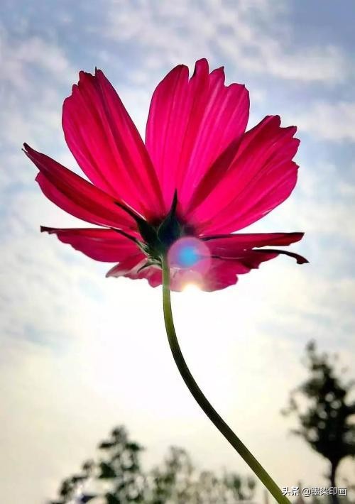 手机摄影拍出大片的感觉的方法,怎样拍出简单又高级的手机摄影