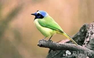 迈入中医之门第,迈入中医之门系列文章第三十七篇