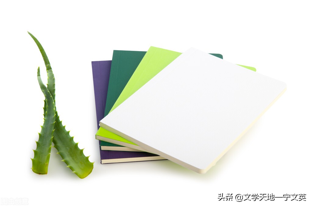 前苏联牛虻,牛虻的内容