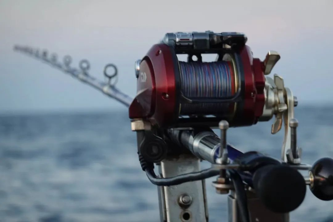 野奢不被鄙视？问问那些爱钓鱼的老孩子们，他们有活蹦乱跳的经验